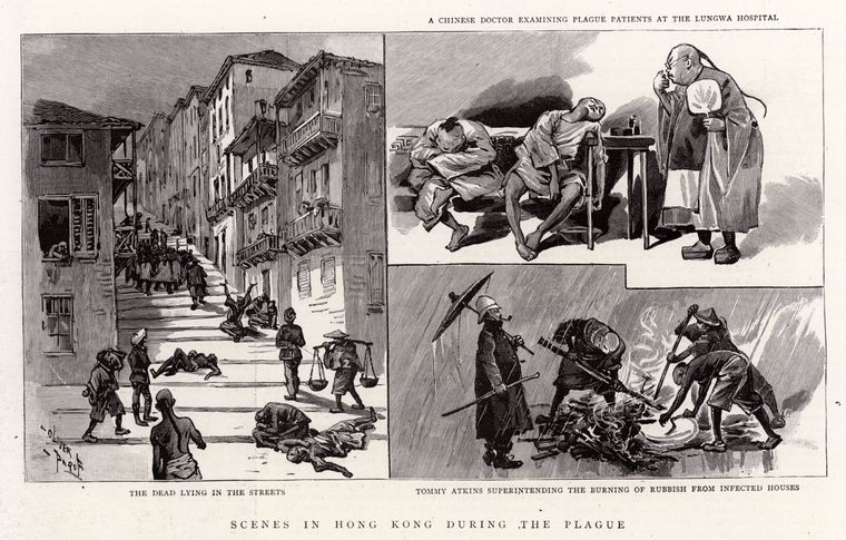 香港瘟疫期间的情景（漫画）：死者躺于街上；华人医生在龙华医院看诊瘟疫病患；监督感染屋宇的垃圾焚烧